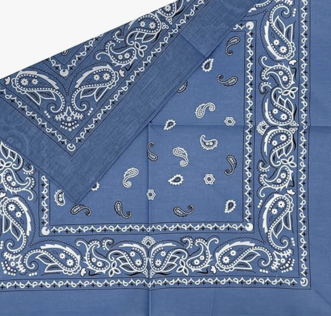Customized Bandana — NSCO